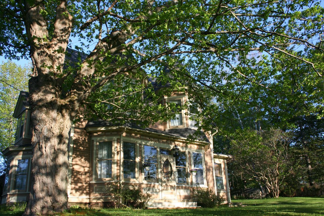 Sackville Bed And Breakfast エクステリア 写真